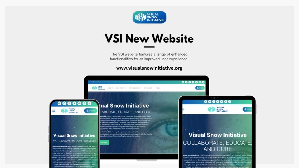 Visual Snow New Website