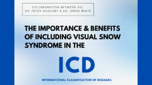 The Importance of Including Visual Snow Syndrome in the International Classification of Diseases