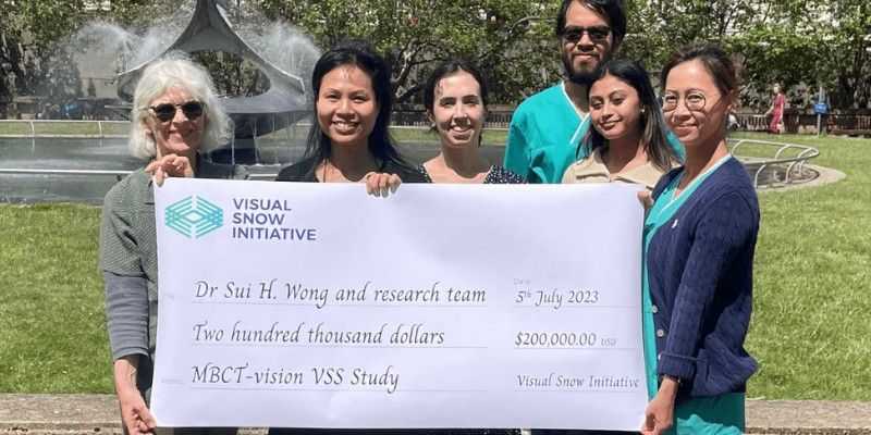 Mindfulness-Based Cognitive Therapy for Vision (MBCT-Vision)